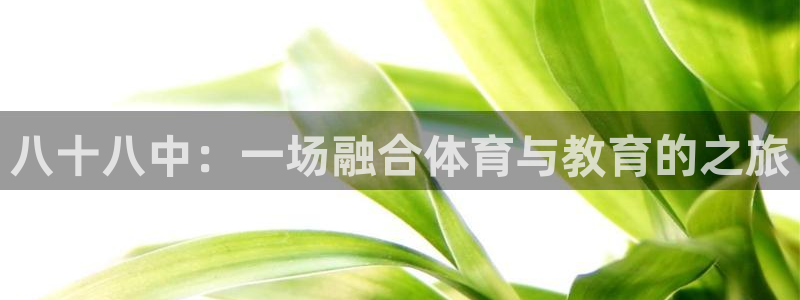 意昂5Kgame体育注册