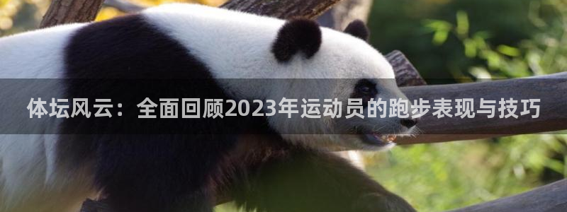 意昂5Kgame体育平台登录入口