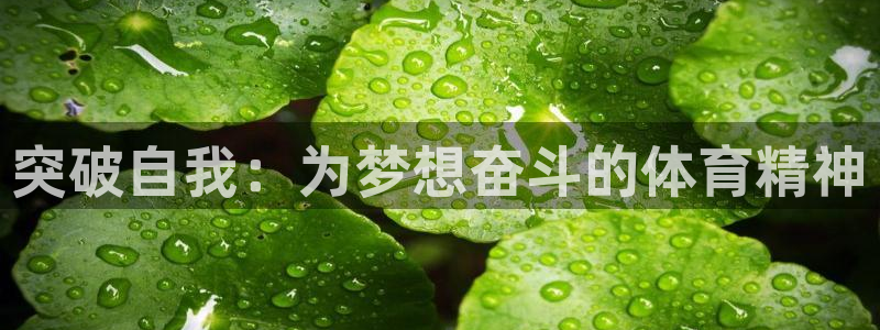 意昂5Kgame2登录入口