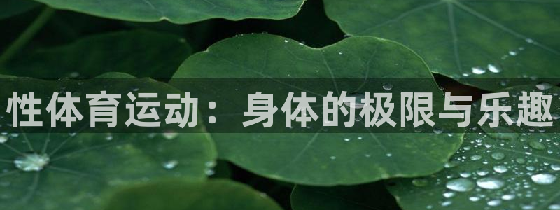 意昂5Kgame体育官网