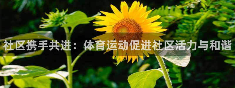 意昂5Kgame平台